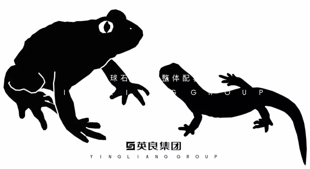 640.webp (1)